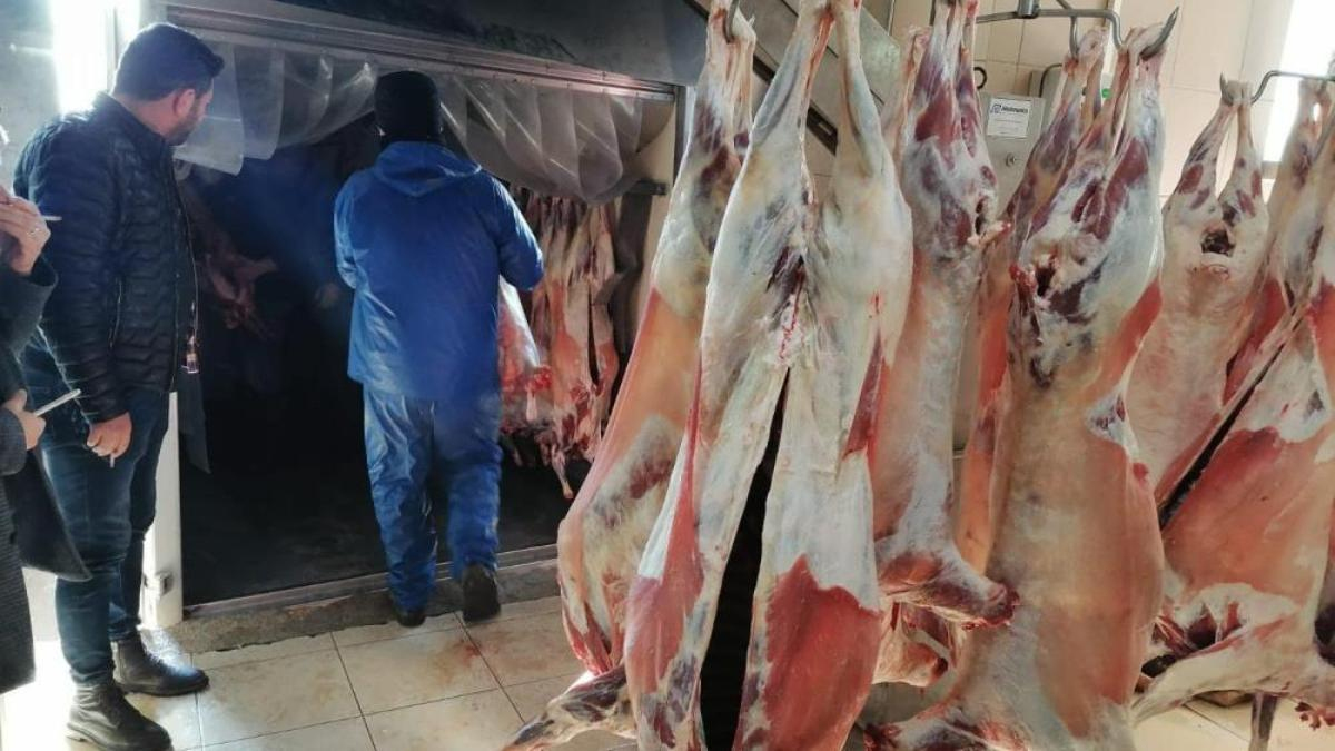 Bilecik’ten deprem bölgesine kırmızı et desteği