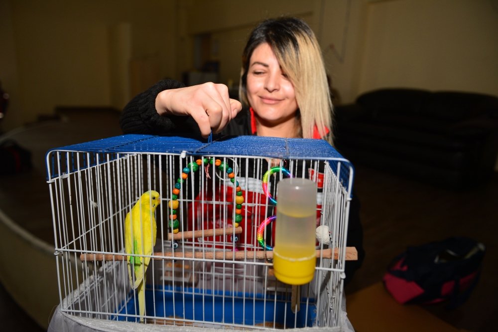 Bilin insanları tartışıyordu, kanıtlandı! Zeliha hemşireyi depremden önce kedileri uyandırdı