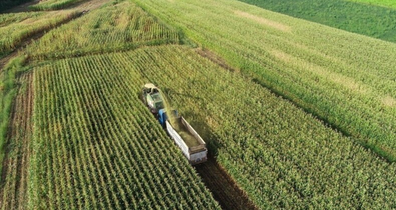 Çiftçilerin 49,5 milyon liralık destek ödemeleri bugün gerçekleştirilecek