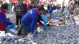 Edirne’de hamsinin kilosu tezgahta 20 TL’ye düştü