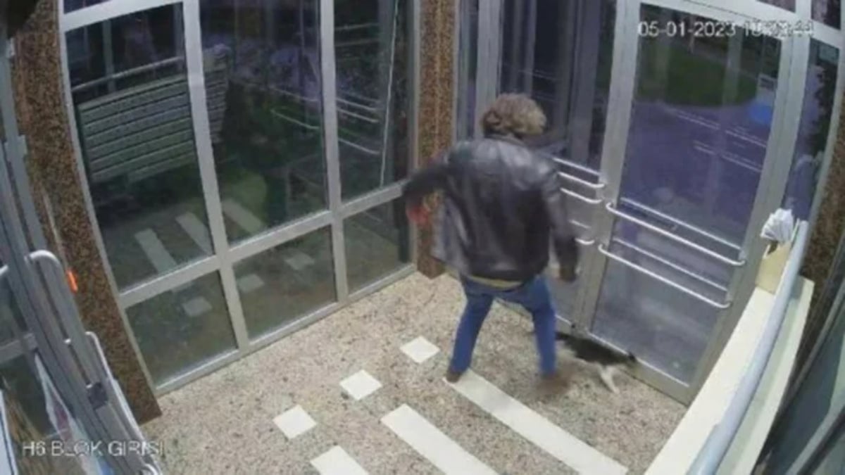 İstanbul’da kedilere işkence eden Aytuğ Koyuncu tutuklandı