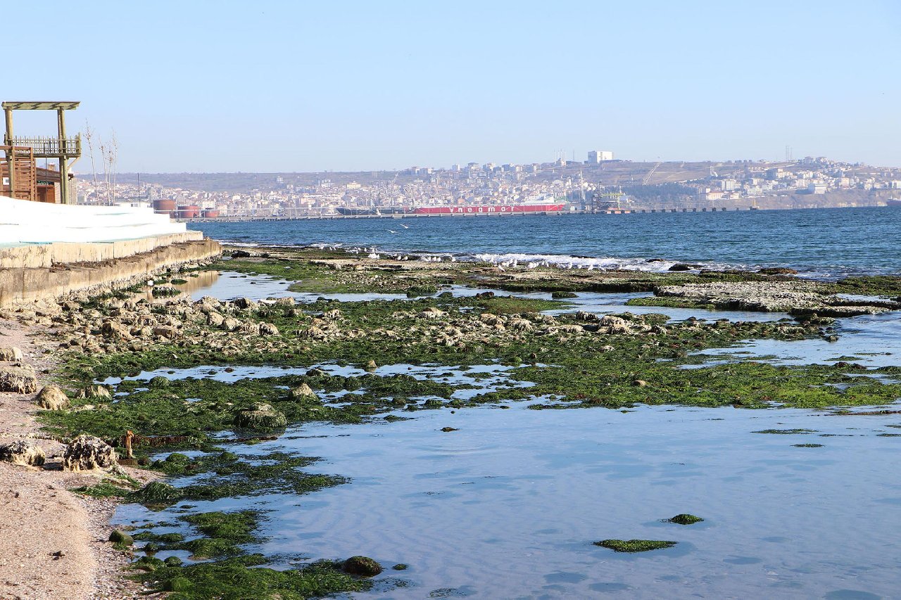 Kandilli: Marmara’da suyun çekilmesi deprem kaynaklı değil