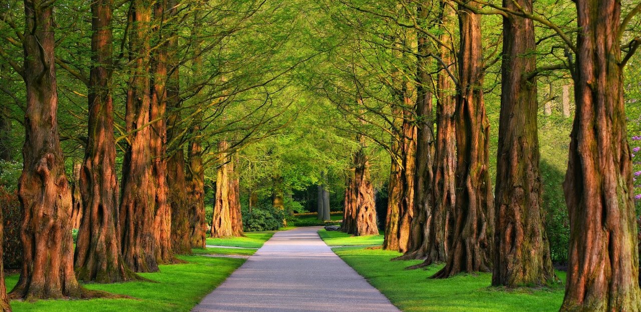 ‘Sen bir hava al’ sözü boşuna değilmiş! Kaygı ile başa çıkmanın yolları