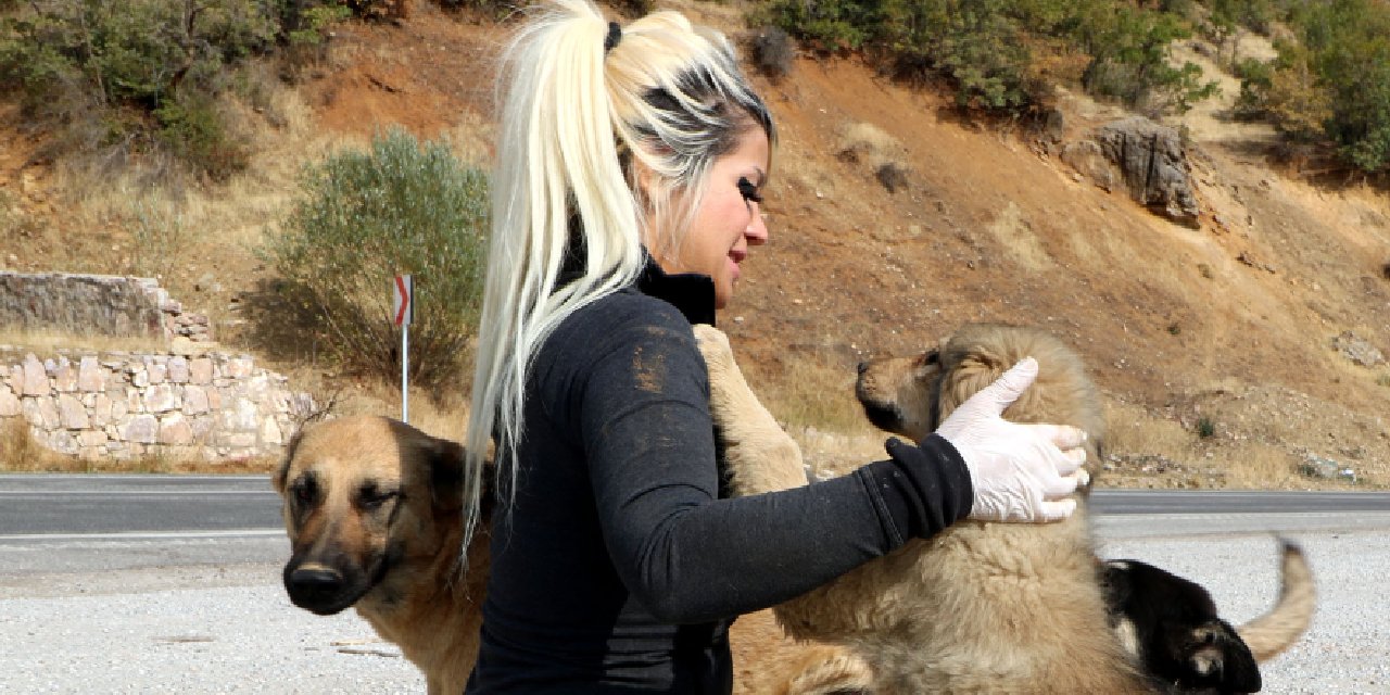 Sokaktaki canlar için tayinini ertelemişti, Hatay’da Eda öğretmen de öldü