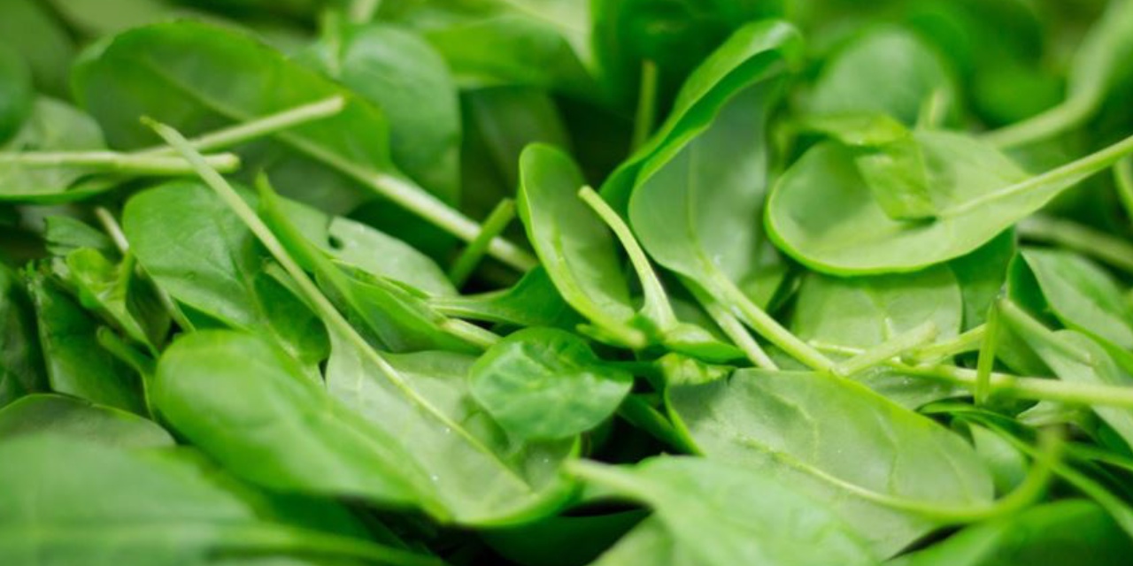 Vitamin deposu mercimekli ıspanak kökü tarifini mutlaka deneyin…