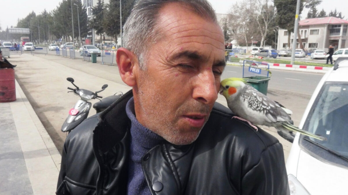 Adıyaman’da depremde enkazdan çıkardığı papağan, omzundan inmiyor