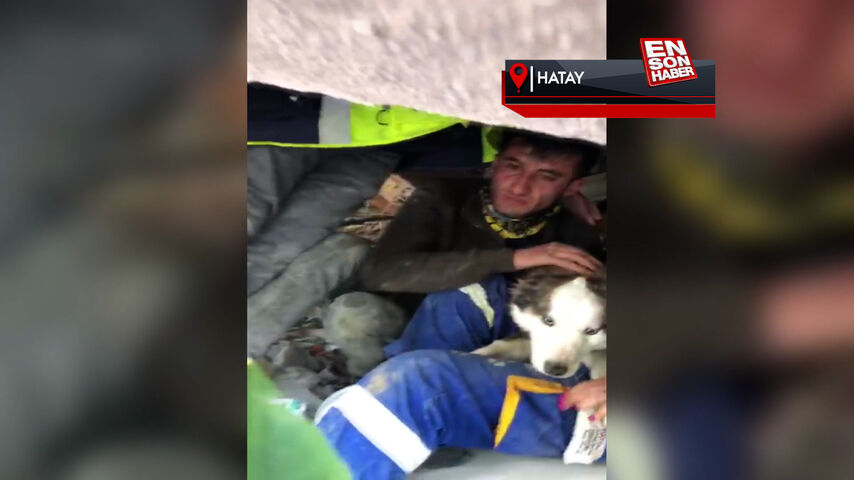 Hatay’da ‘Alex’ isimli köpek 23 gün sonra enkazdan kurtarıldı