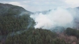 Kastamonu’da yol kenarına atılan sigara izmariti ormanlık alanda yangın çıkardı