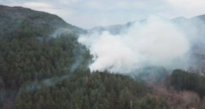 Kastamonu’da yol kenarına atılan sigara izmariti ormanlık alanda yangın çıkardı