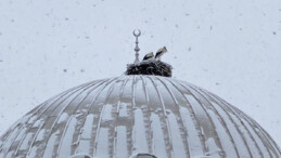 Konya’da kar yağışı! Baharın habercisi leylekler kente geldi