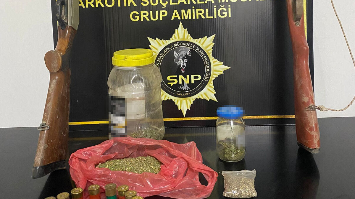 Şanlıurfa’daki ağılda fazla sayıda uyuşturucu ele geçirildi