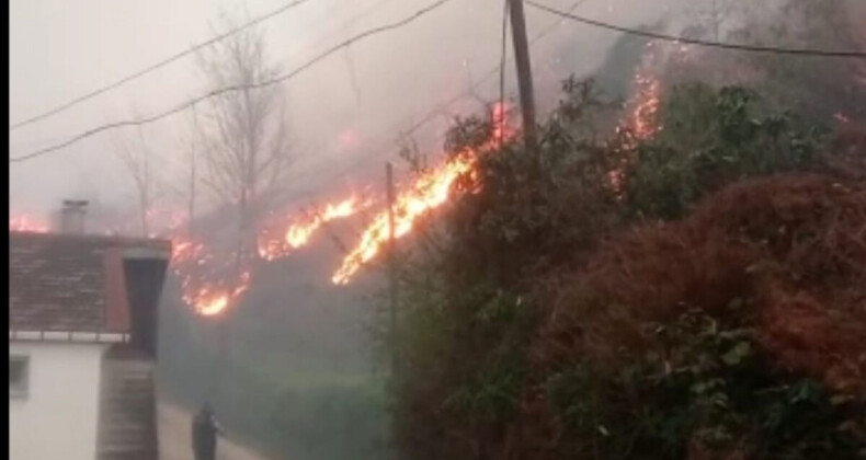 Trabzon’da dün başlayan örtü yangını söndürüldü