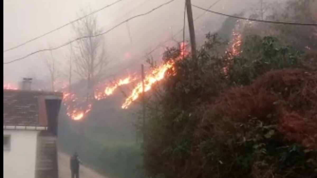 Trabzon’da dün başlayan örtü yangını söndürüldü