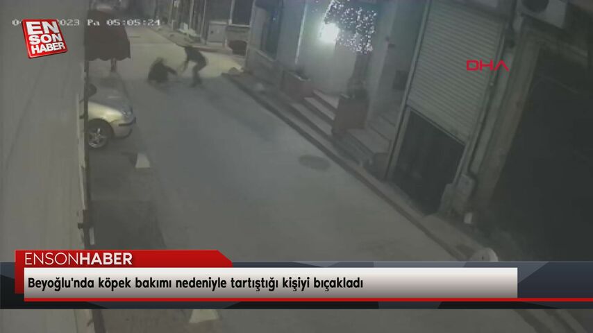 Beyoğlu’nda köpek bakımı nedeniyle tartıştığı kişiyi bıçakladı