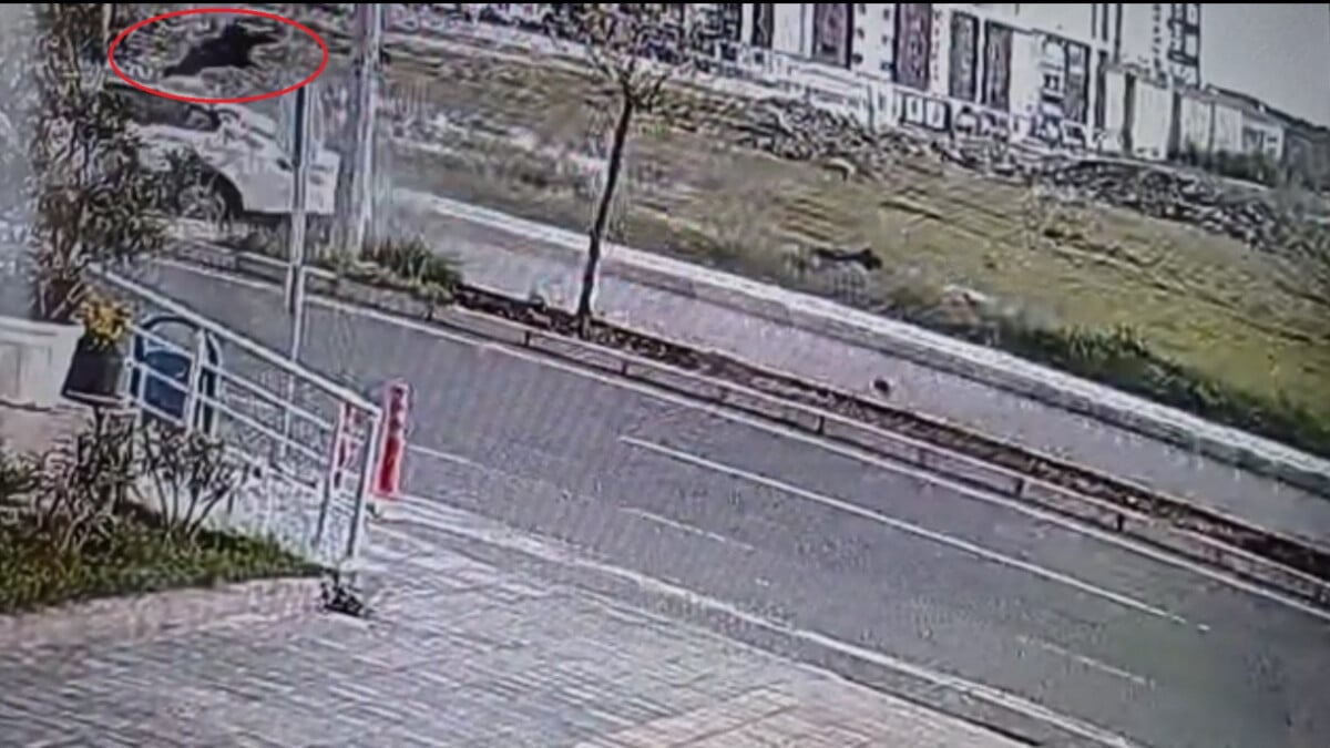 Diyarbakır’da kazaya kurban giden kadın toprağa verildi