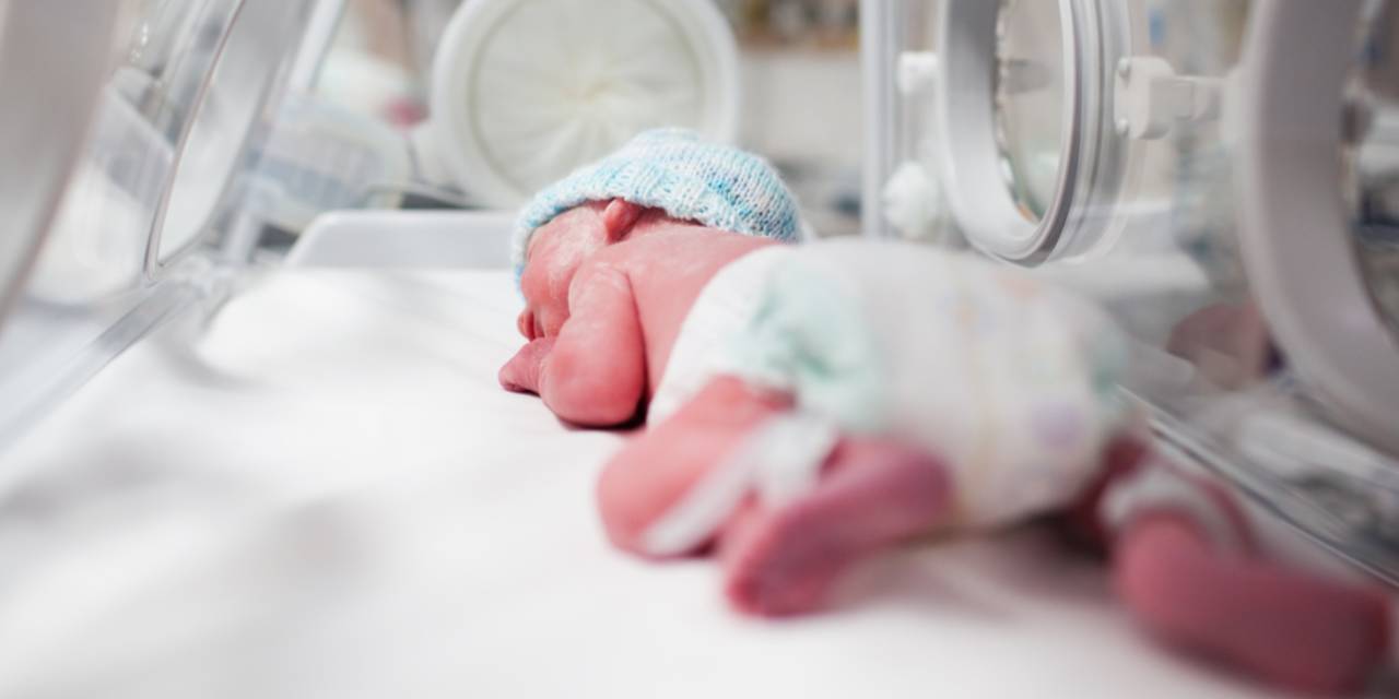 En az 550 çocuğun babası olan sperm bağışçısına yasak geldi