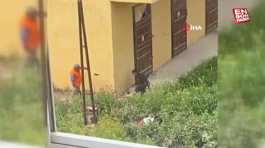 İzmir’de köpeğe işkence anları kamerayla kayıt altına alındı