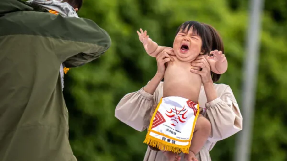 Japonya’da ağlayan bebek sumo festivali düzenlendi