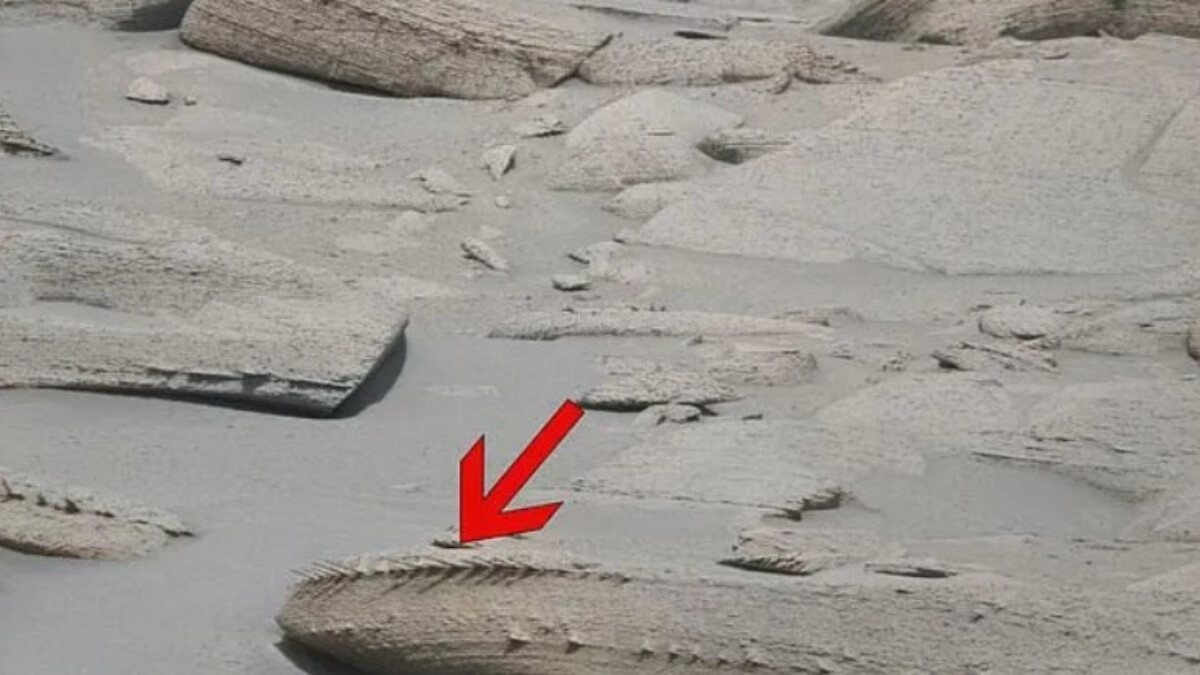 Mars’ta kemik benzeri garip bir cisim keşfedildi