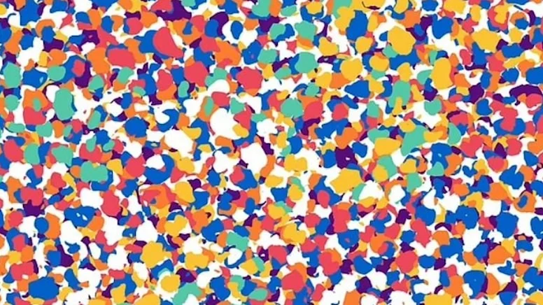 Optik illüzyon sosyal medya kullanıcılarını şaşkına çevirdi.