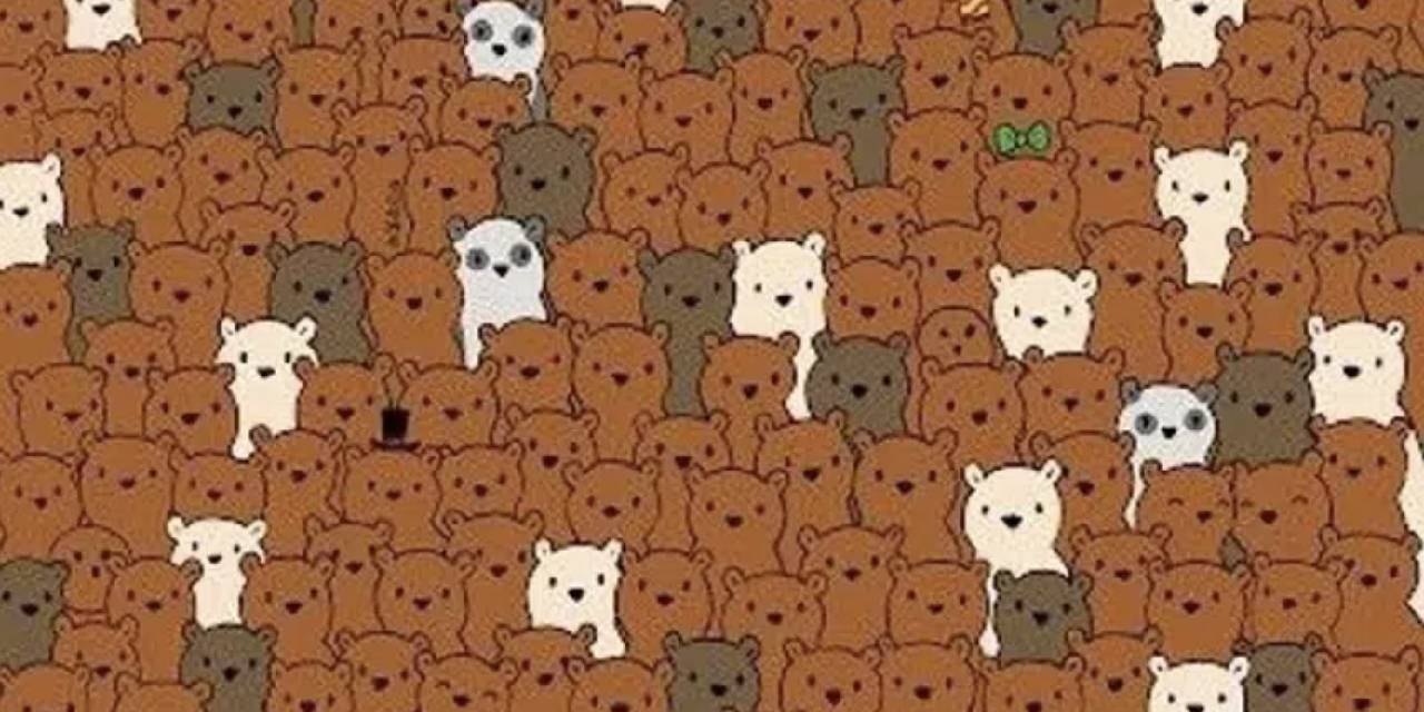 Sosyal medyanın gündeminde bu Hindistan cevizi testi var! 50 kişi arasında 3 cevizi de bulan yok! Zeki olabilir misiniz?