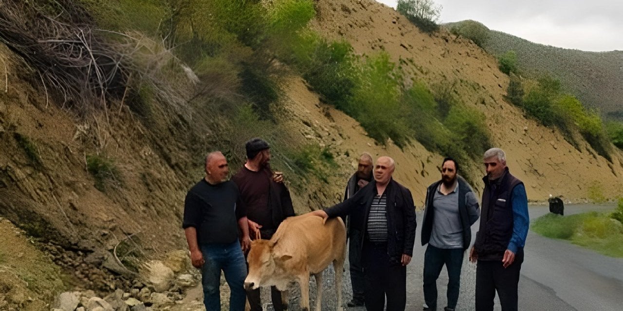 10 Metreden Yuvarlanan İneği Köylüler Kurtardı