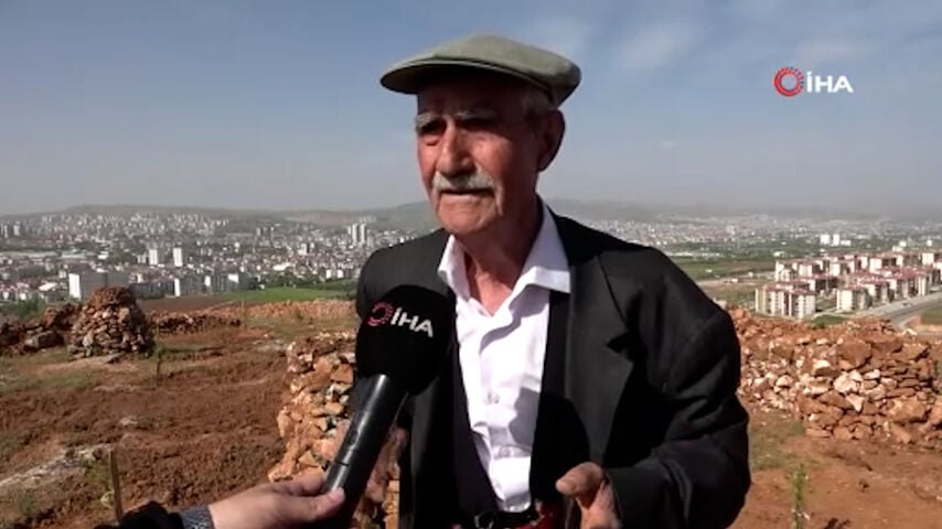 77’lik İsmail dede, 300 ton taş topladığı dağlık araziyi ağaçlarla kapladı