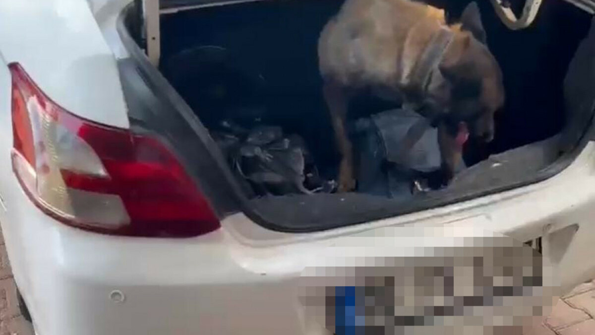 Adana’da 8 kilo esrarın savunması: İçmek için toplu aldık