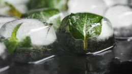 Buzdolabındaki yiyecekleriniz buz yanığı mı oluyor?Buz yanığını önlemek mümkün…