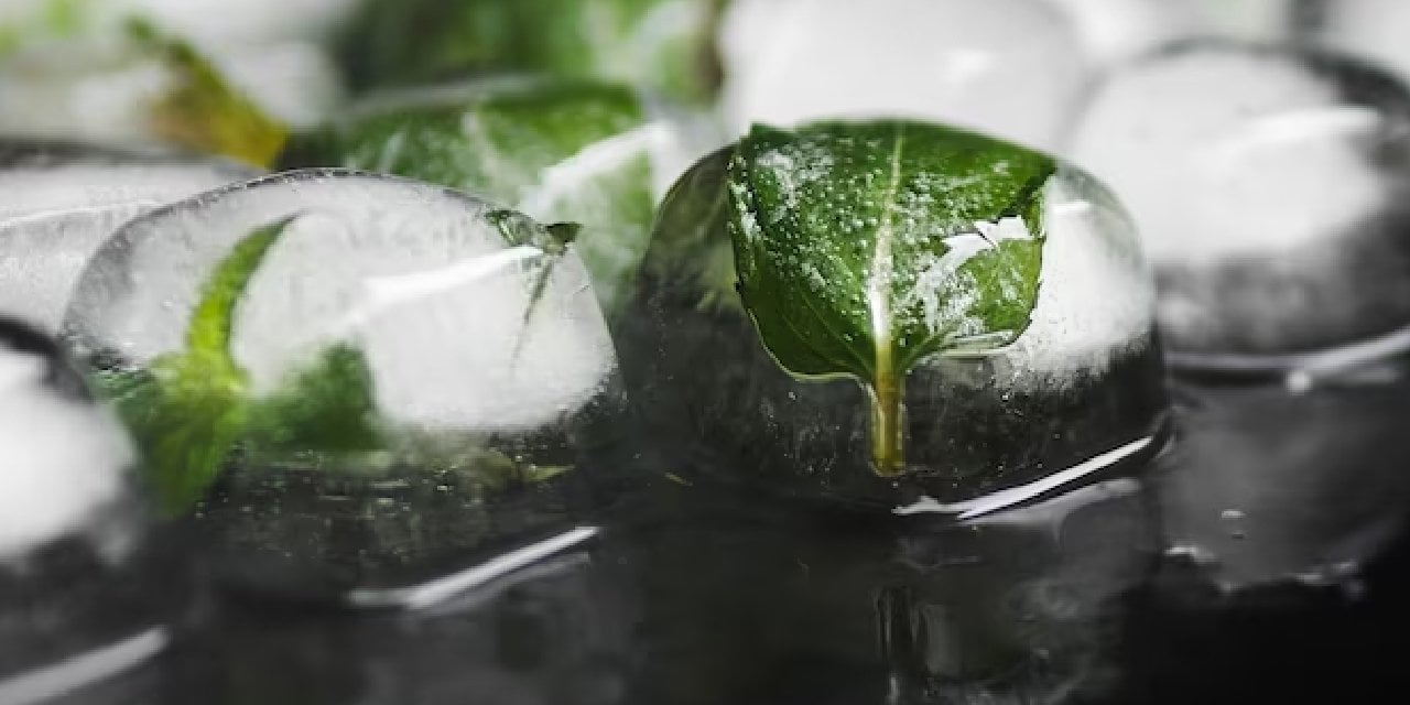 Buzdolabındaki yiyecekleriniz buz yanığı mı oluyor?Buz yanığını önlemek mümkün…