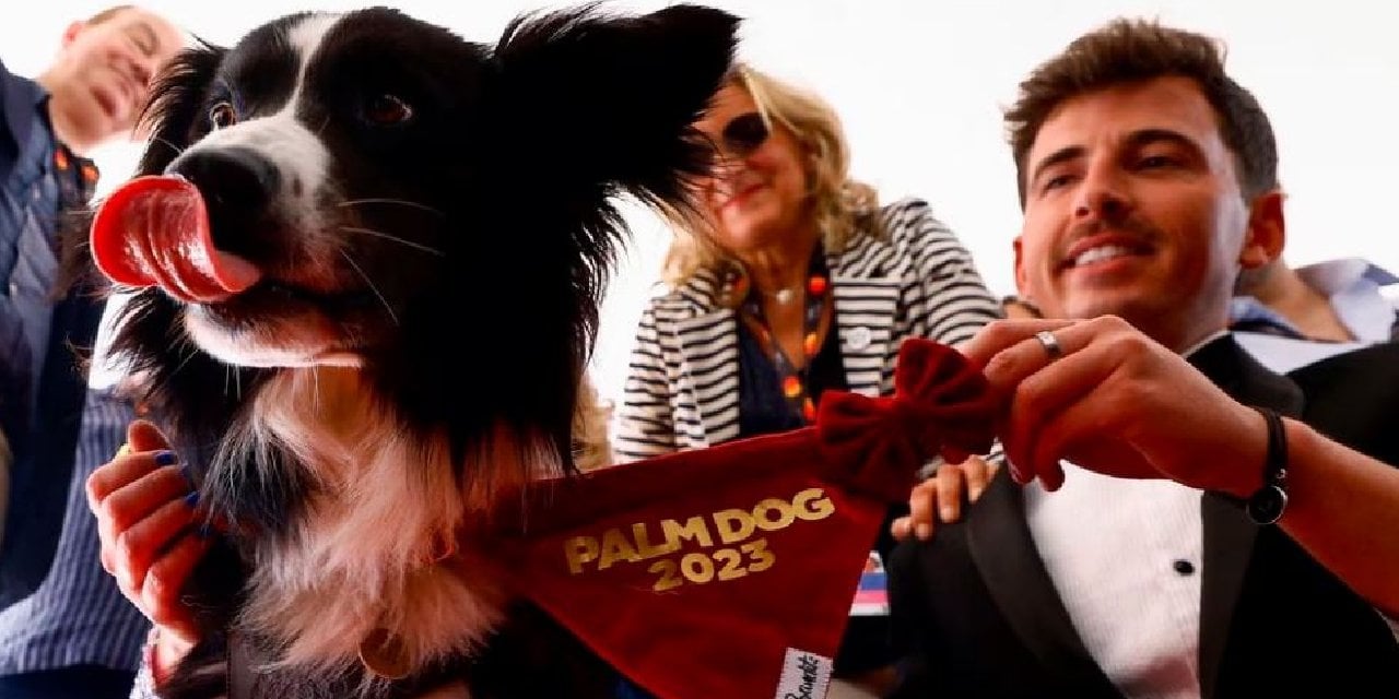 Cannes’da Yarışan Messi, Duygulu Oyunculuğuyla Büyük Ödülü Kaptı