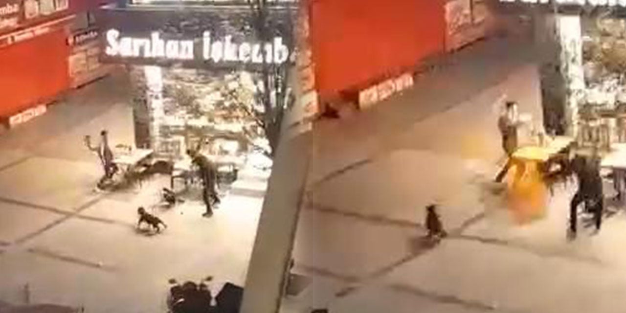 Çorbacıda Ortalık Karıştı!: Köpeği ve Arkadaşıyla Gelip Saldırdı