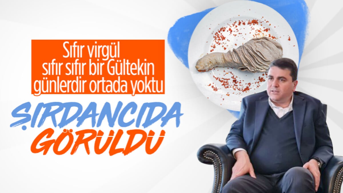 Demokrat Parti Lideri Gültekin Uysal seçimlerden sonra şırdancıya gitti