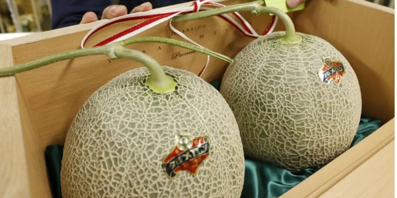 Dünyanın En Pahalısı: Sezonun İlk Hasadı 500 Bin TL’ye Satıldı