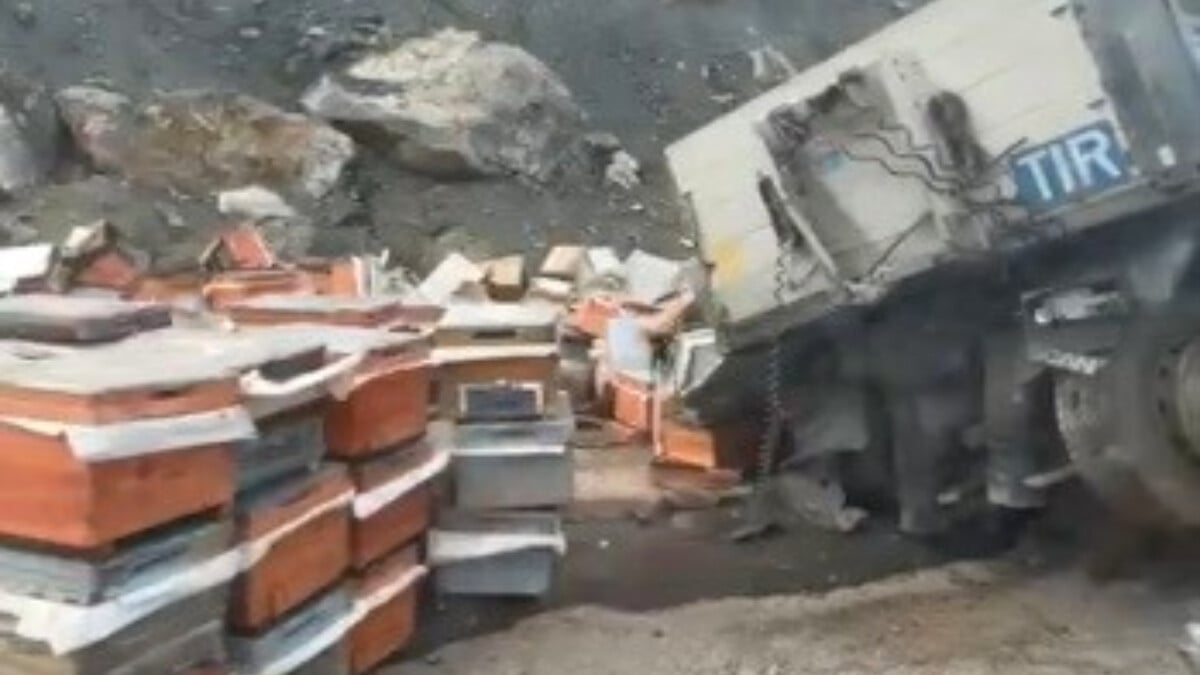 Erzincan’da arı kovanı yüklü tır kaza yaptı: 3 yaralı