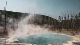 Gelecekte bir asteroit çarpması,nükleer savaş ya da volkanik patlama sonucu beslenme alışkanlıklarımız bir hayli değişecek…