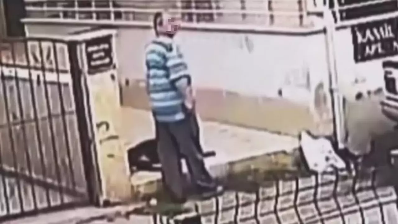 Hatay’da iğrenç olay: Sokak hayvanına cinsel istismar