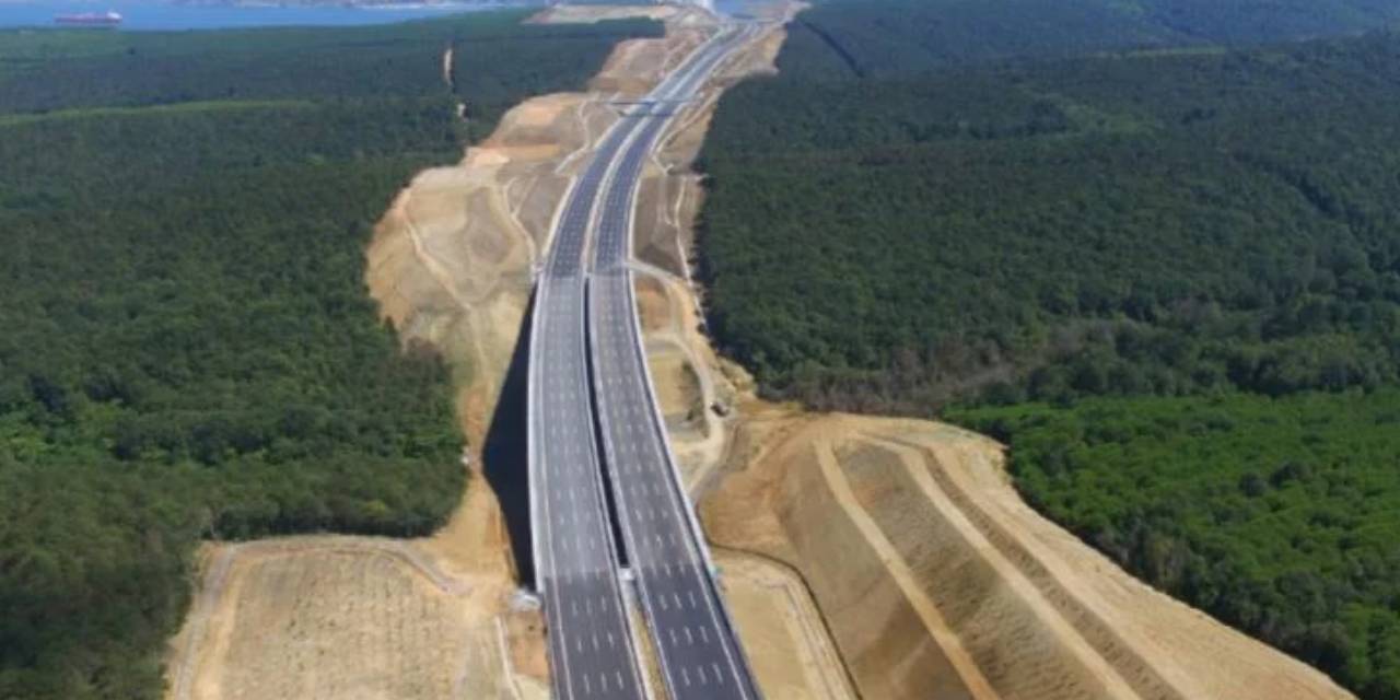 Kuzey Ormanlarına Bir Hançer Daha: 3,7 Milyon Ağaç Kesilmişti…