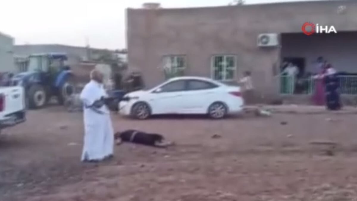 Mardin’de 1 kişinin öldüğü kavganın yeni görüntüleri