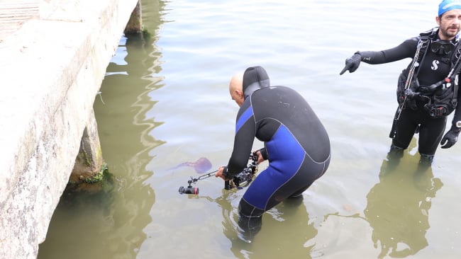 Marmara’da tehlike… Erdek’te pusula denizanası uyarısı!… Dokunanlar ellerini yıkamadan hemen hastaneye koşsun…