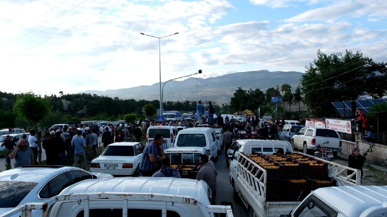 Mersin’de Kayısı Üreticilerinden ‘Düşük Fiyat’ Eylemi