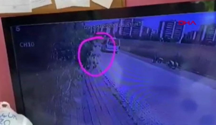 Otomobilden pompalı tüfekle ateş açarak 2 köpeği öldürdü