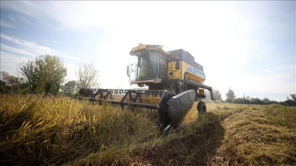 Tarımsal destekleme ödemeleri bugün çiftçilerin hesaplarında