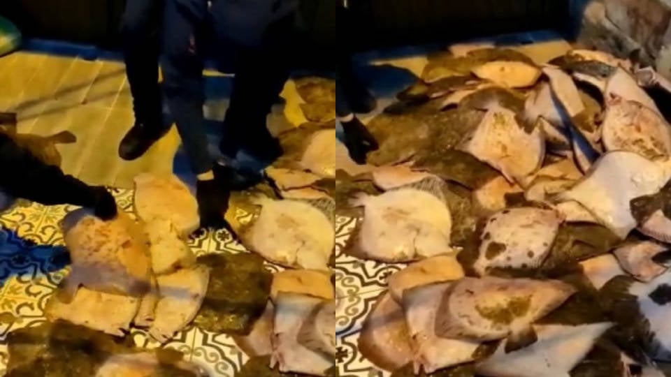 Zonguldak’ta yasa dışı balık avlayanlara para cezası