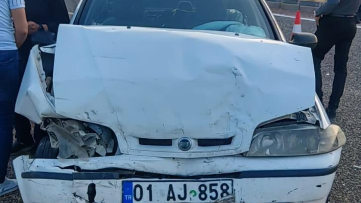 Adıyaman’da yola çıkan köpek kazaya neden oldu: 1 ölü