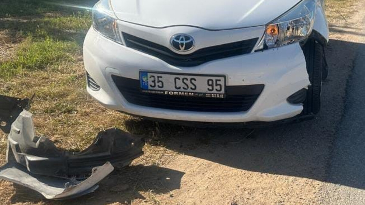 Afyonkarahisar’da yola aniden çıkan başıboş köpekler 2 ayrı kazaya sebep oldu