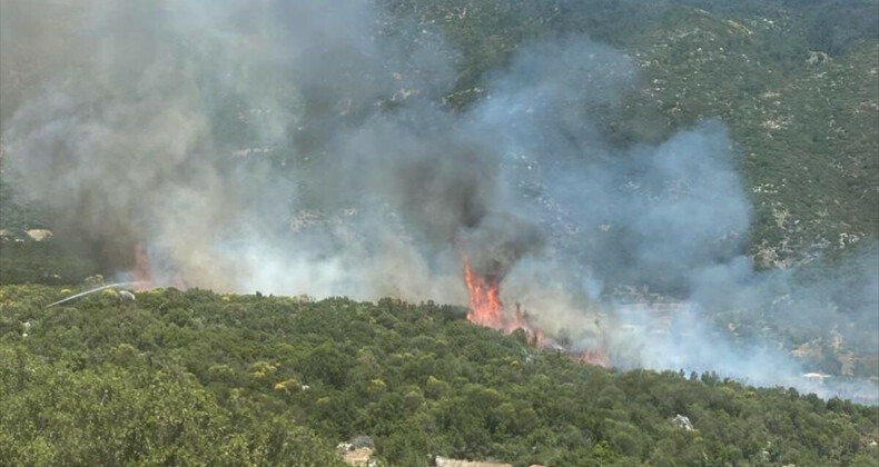 Antalya Kaş’ta orman yangını çıktı: Havadan ve karadan müdahale ediliyor