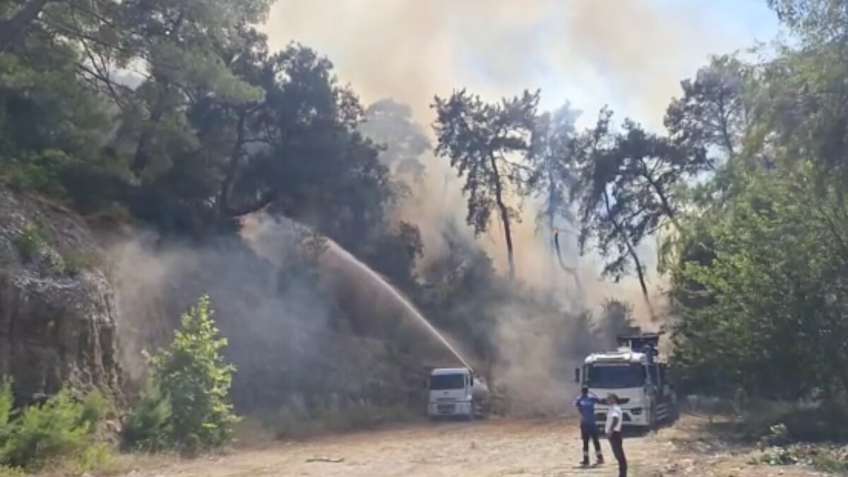 Antalya’da orman yangını