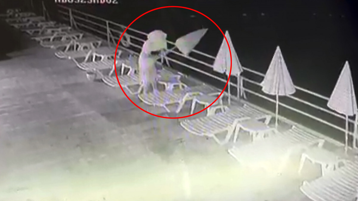 Antalya’da yüzünü gizleyen şüpheli, plaj şemsiyelerini denize attı