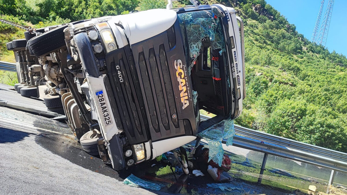 Bitlis’te tır devrildi: Sürücü ve 150 kurbanlık koyun öldü